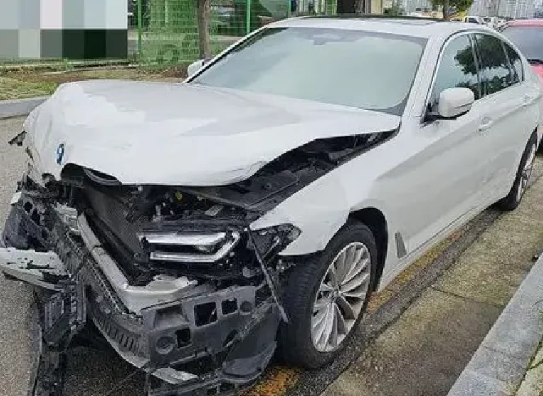 BMW 523d. WBA11ES06MWW95824