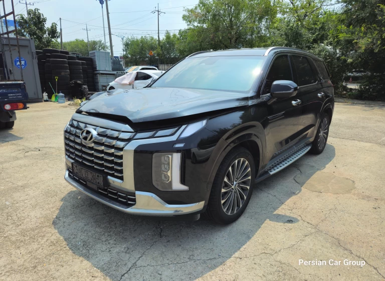 HYUNDAI PALISADE. KMHR381ADMU022384