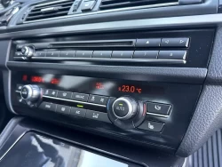 BMW 520dvxDrive. WBA5E7104FG155095 18