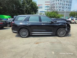 HYUNDAI PALISADE. KMHR381ADMU022384 6