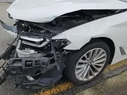 BMW 523d. WBA11ES06MWW95824 16