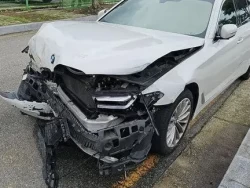 BMW 523d. WBA11ES06MWW95824 27