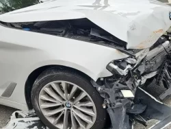 BMW 523d. WBA11ES06MWW95824 17