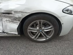 BMW 530d xDrive. WBA5D3105ED059603 12