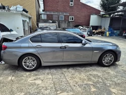 BMW 520d  WBA5E7101GG156562 10
