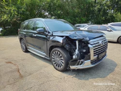 HYUNDAI PALISADE. KMHR381ADMU022384 2